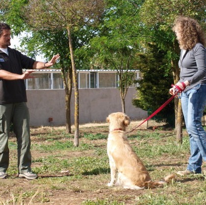 Másterclass agresión canina