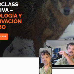 Masterclass ecoetología y conservación del lobo