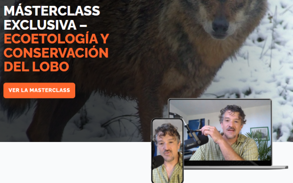 Masterclass ecoetología y conservación del lobo